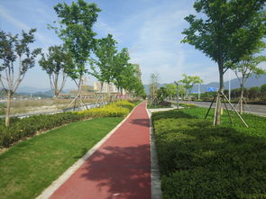 誠邦股份2019年度第一屆誠邦杯攝影大賽獲獎作品展示