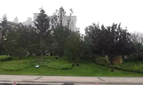 這些園林綠化工程施工技術(shù)規(guī)范,值得你花時間學(xué)習(xí)一下