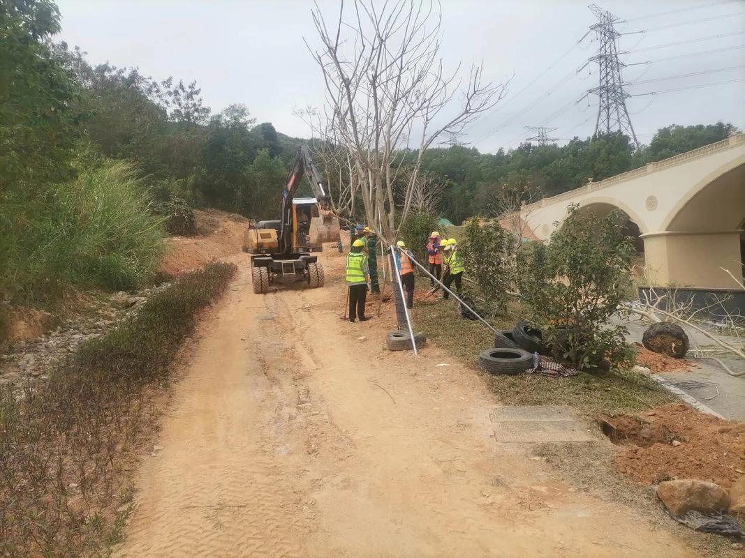 植樹節,種樹#園林綠化工程 #施工現場實拍