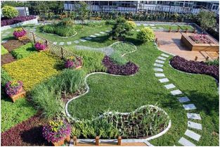 園林綠化與體育場地設(shè)施工程施工中不可忽視的幾大問題